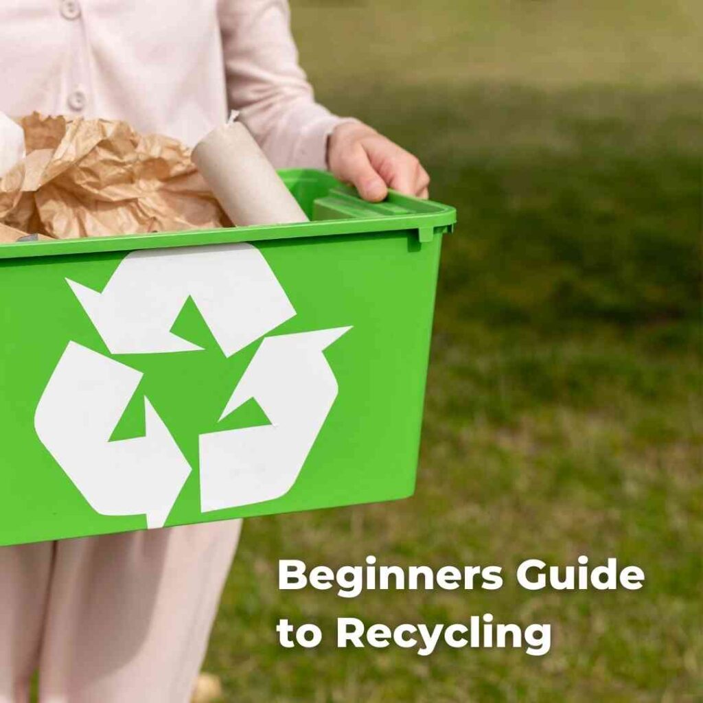 Your Beginners Guide to Recycling