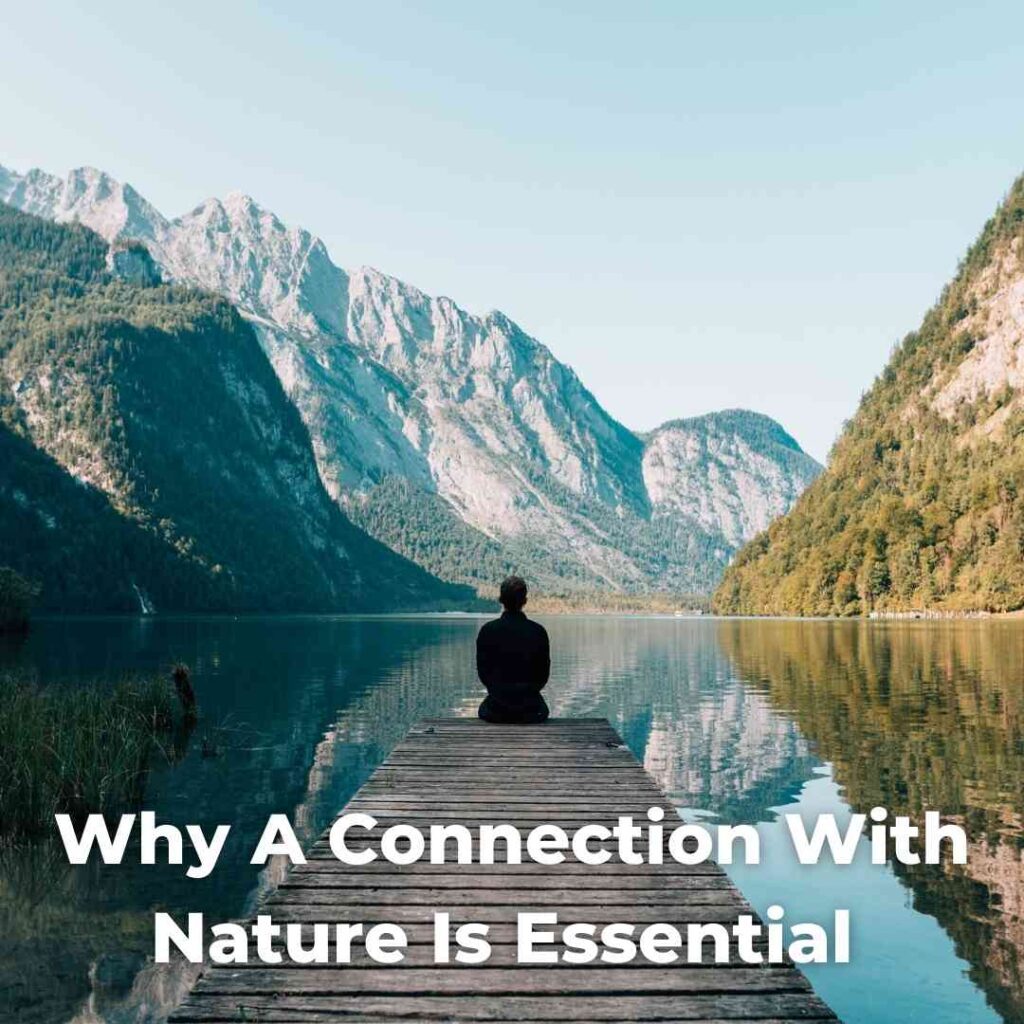 Why A Connection With Nature Is Essential
