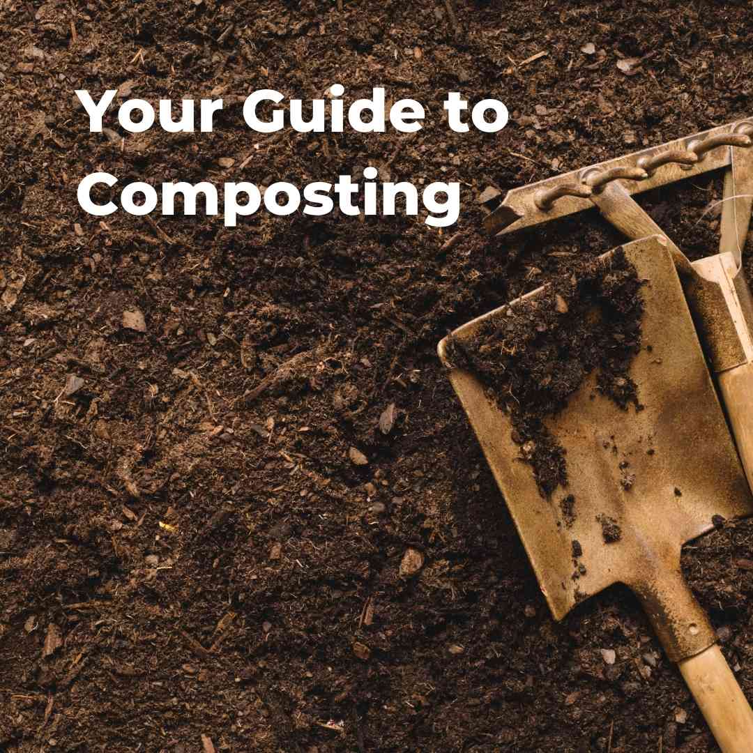 Piling Up the Proper Way to Compost - EcoFoote