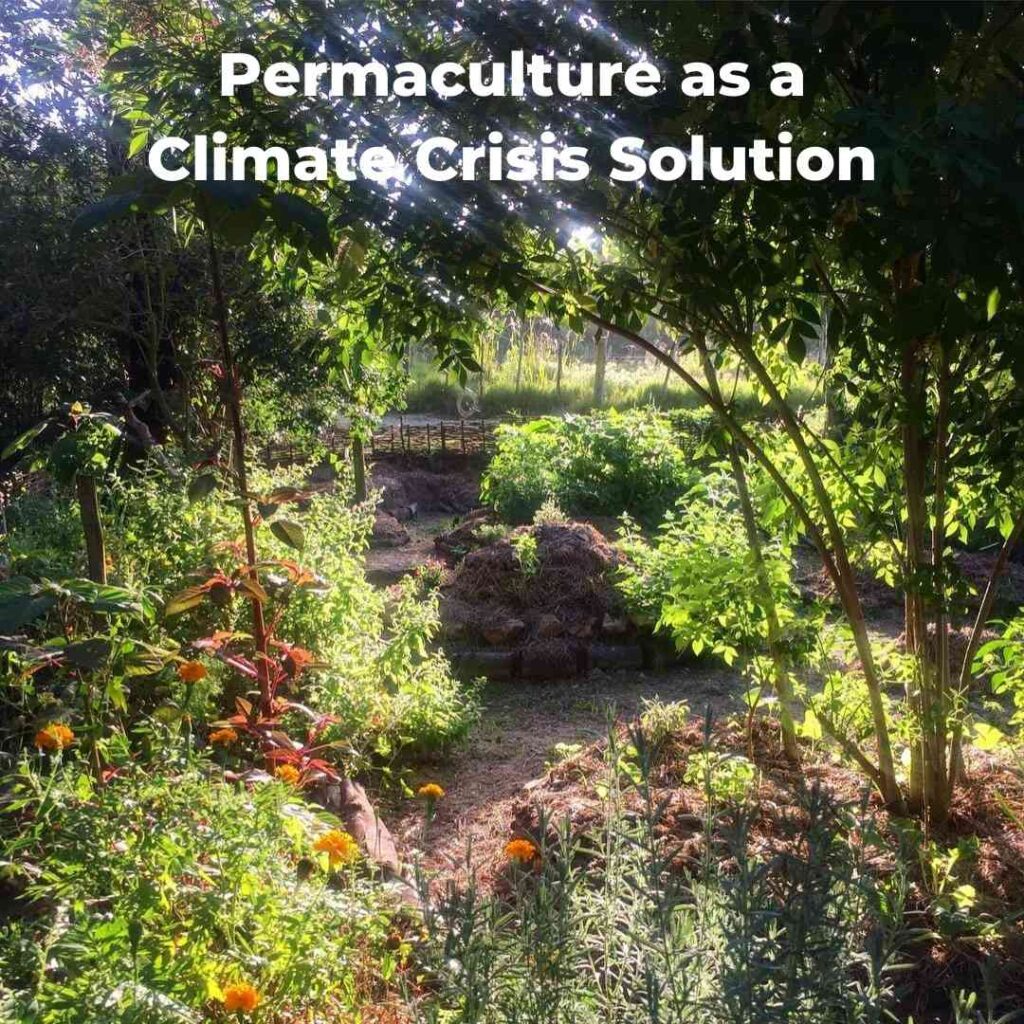 Permaculture as a Climate Crisis Solution