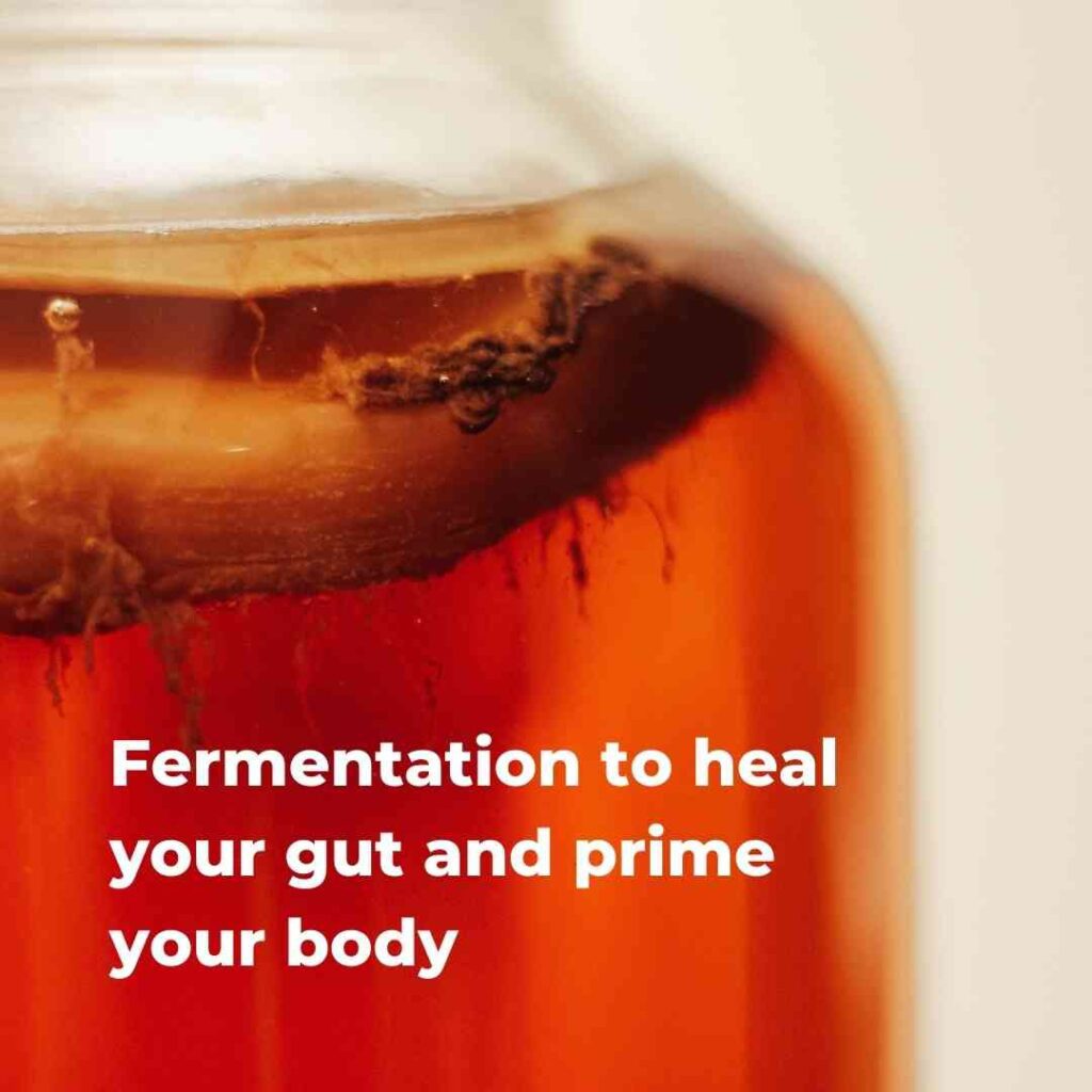 Fermentation to heal your gut and prime your body
