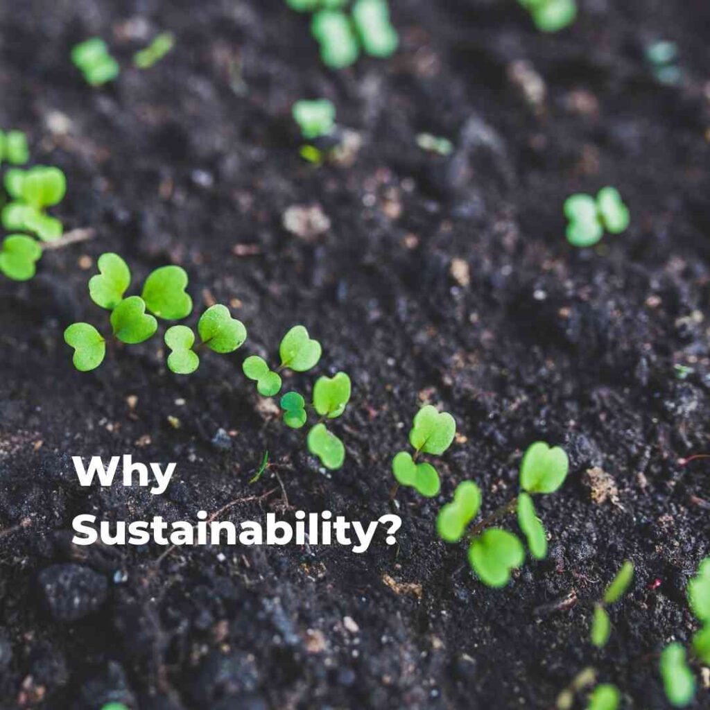 Why Sustainability?