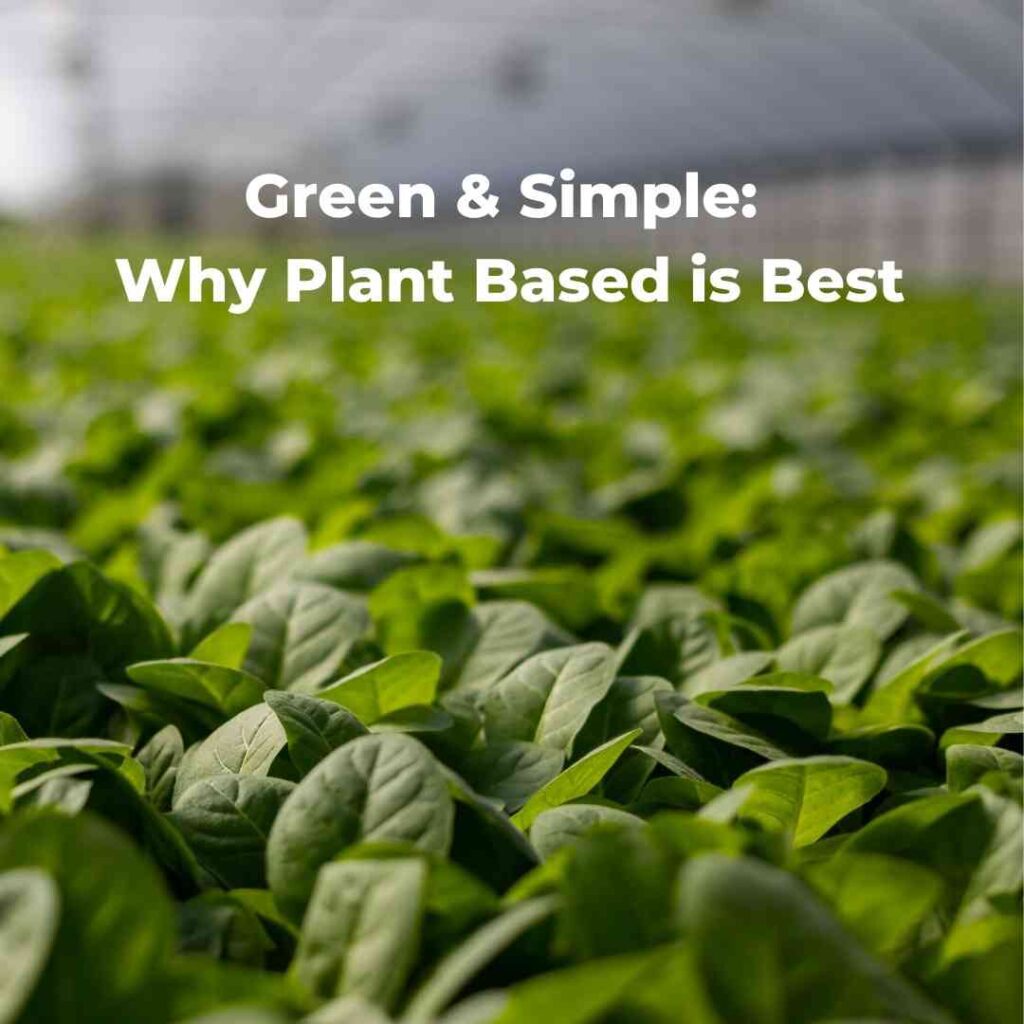 Green & Simple: Why Plant Based is Best