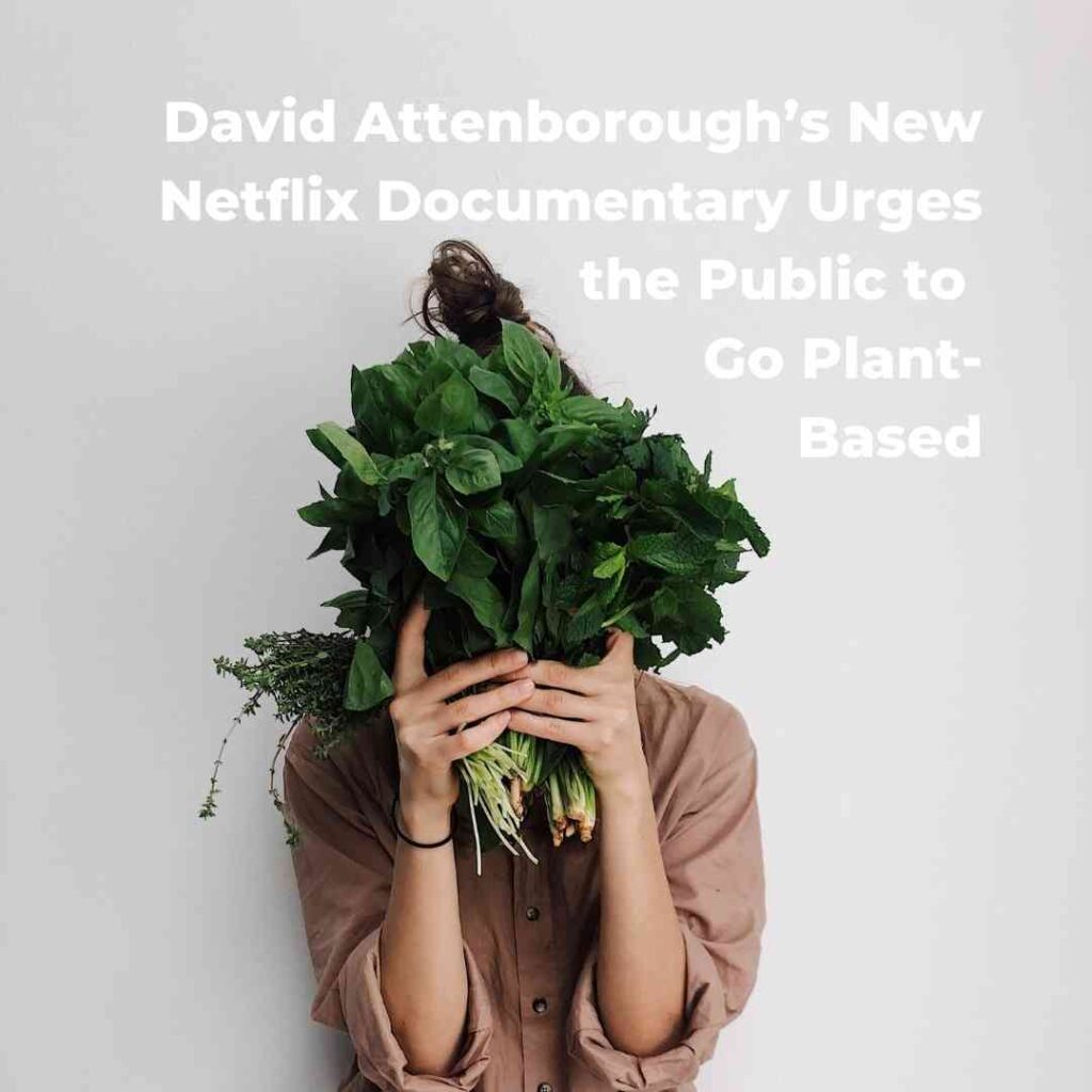 David Attenborough’s New Netflix Documentary Urges the Public to Go Plant-Based