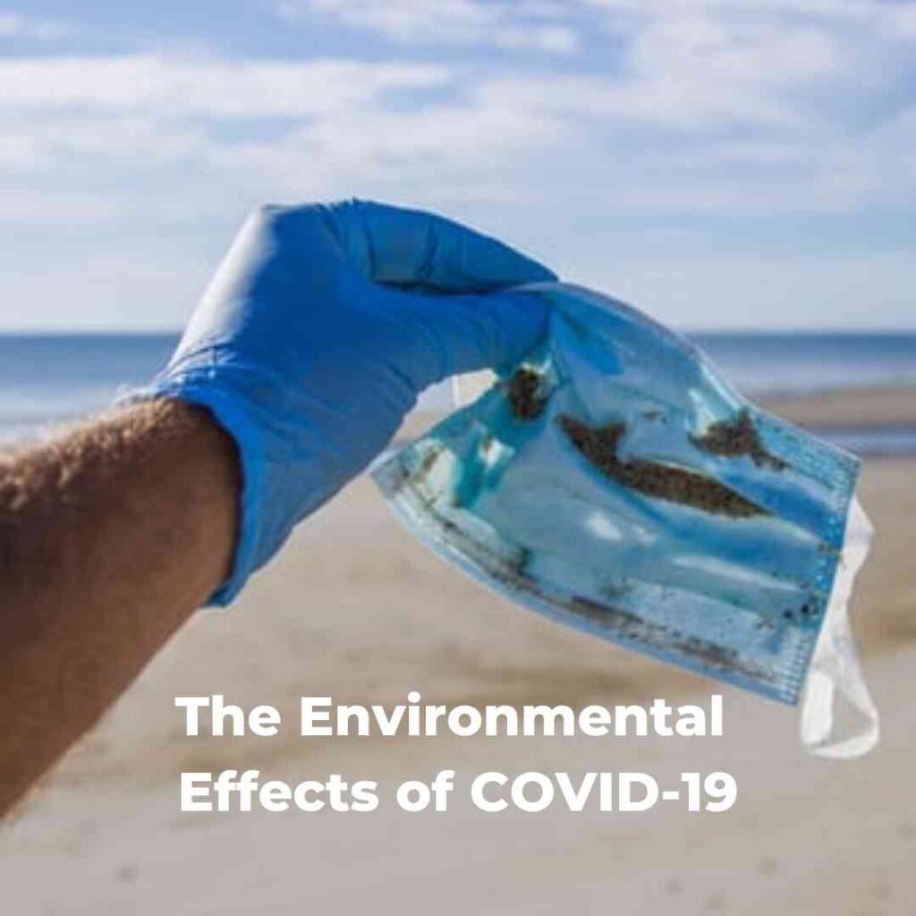 The Environmental Effects of COVID-19