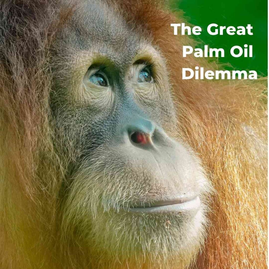The Great Palm Oil Dilemma