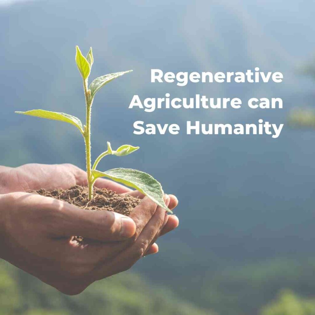 Regenerative Agriculture can Save Humanity