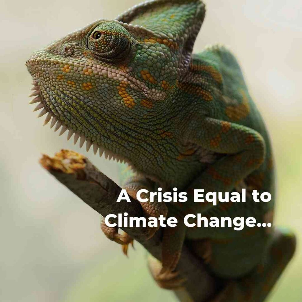 A Crisis Equal to Climate Change: The Loss of Biodiversity